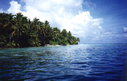 island picture by Arjun
